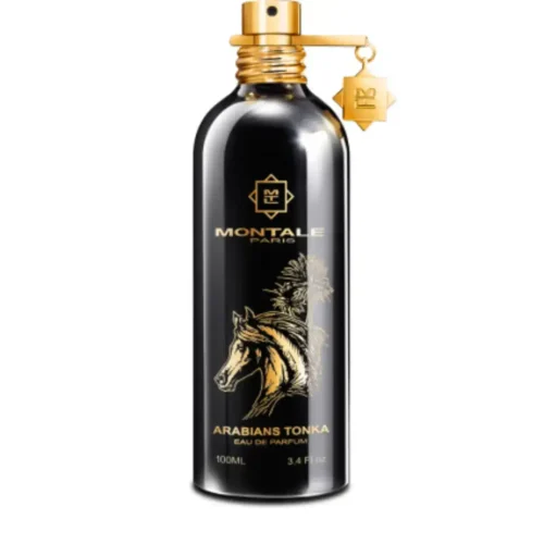 MONTALE ARABIANS TONKA PRIX MAROC