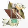 HERMES UN JARDIN SUR LE NIL