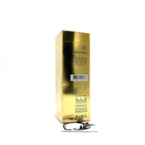 MONTALE AQUA PALMA