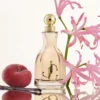 JIMMY CHOO I WANT CHOO PRIX MAROC