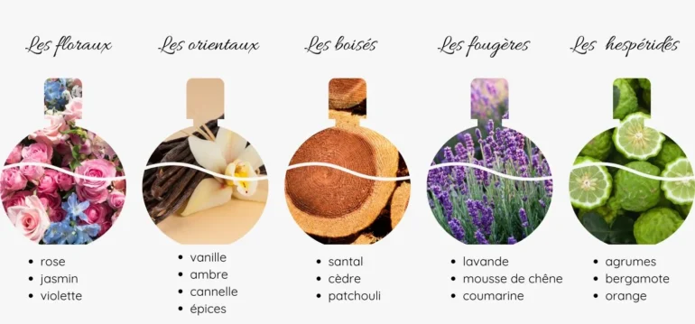 Les types de parfums Guide des familles olfactives parfumerieluxofficiel parfum prix maroc