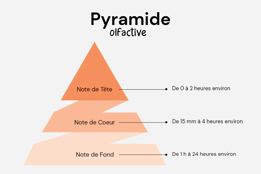 Pyramide Olfactive Francais parfumerieluxofficiel parfum prix maroc