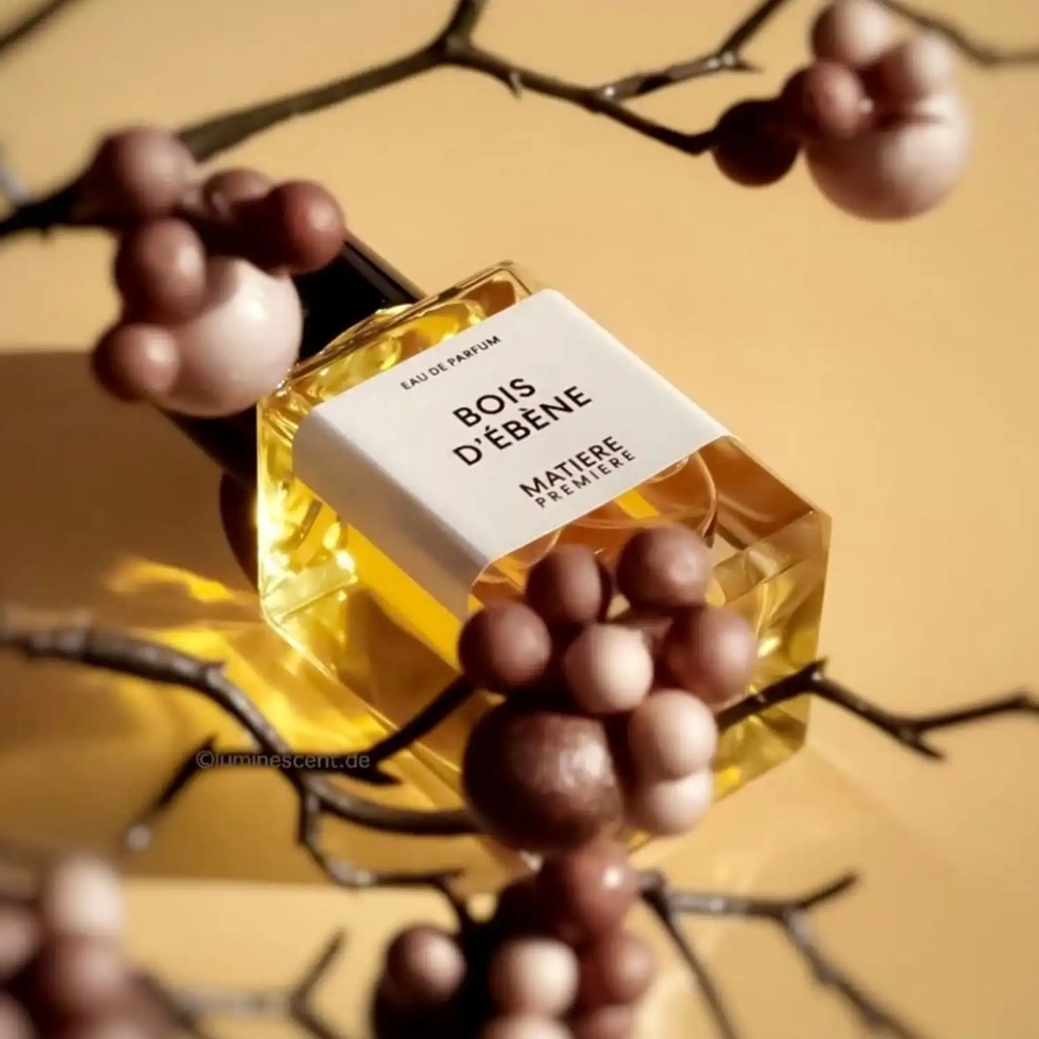 BOIS D'EBENE MATIERE PREMIERE 5 Bois d'Ebene Matiere Premiere