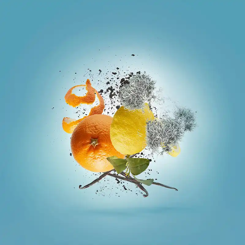 XERJOFF ERBA PURA 7 XERJOFF ERBA PURA – Image 5