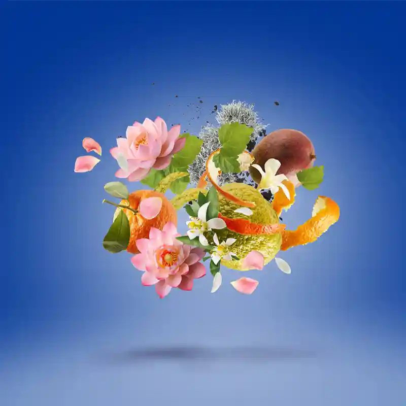 XERJOFF TORINO24 7 XERJOFF TORINO24 – Image 5