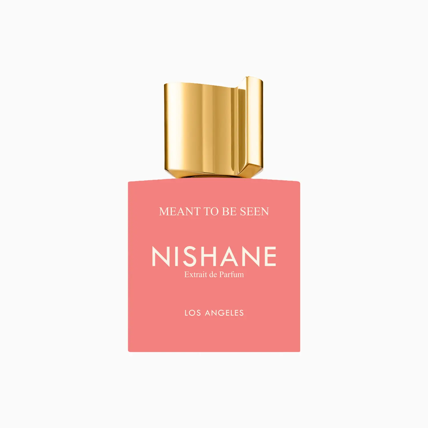 NISHANE MEANT TO BE SEEN 3 Nishane Meant To Be Seen parfum unisex original Maroc – parfum moderne et élégant