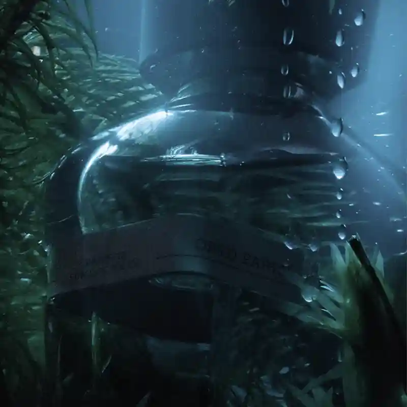 ORTO PARISI MEGAMARE 6 ORTO PARISI MEGAMARE – Image 4