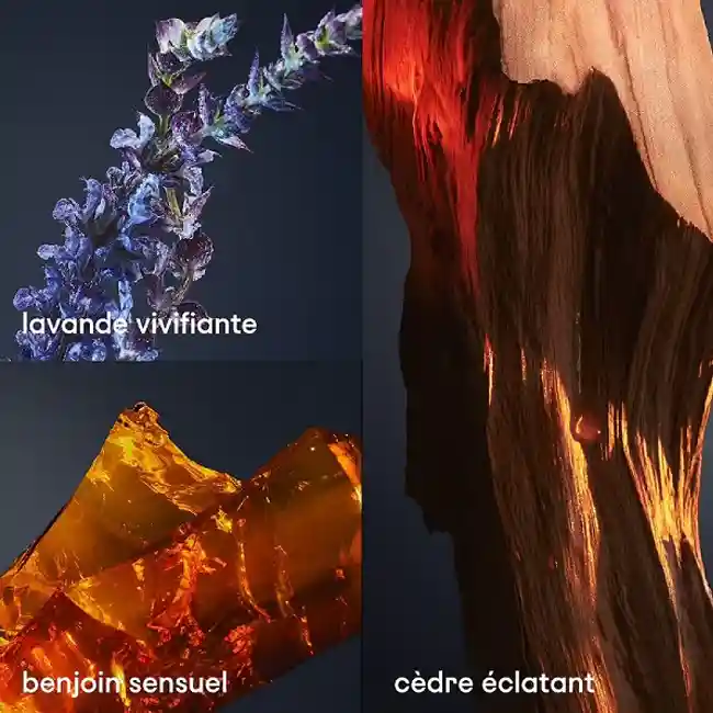 1 MILLION ROYAL PACO RABANNE 5 1 MILLION ROYAL PACO RABANNE – Image 3