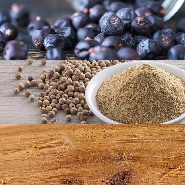 CALVIN KLEIN CK BE 6 CALVIN KLEIN CK BE – Image 4