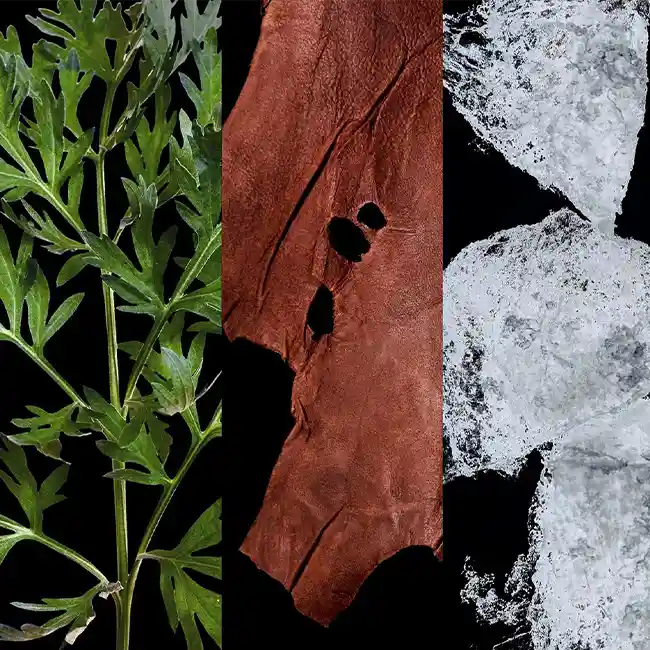 CAROLINA HERRERA BAD BOY COBALT 7 CAROLINA HERRERA BAD BOY COBALT – Image 5