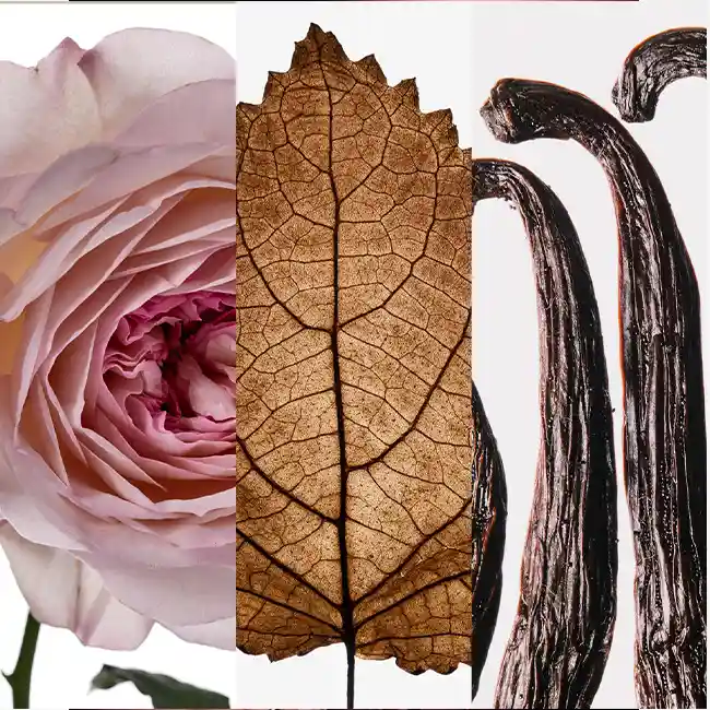 CAROLINA HERRERA GOOD GIRL BLUSH 6 CAROLINA HERRERA GOOD GIRL BLUSH – Image 4